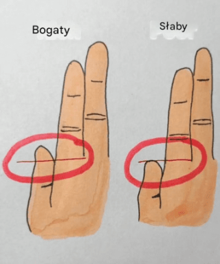 Twoje palce mogą ujawnić, czy jesteś bogaty, czy biedny