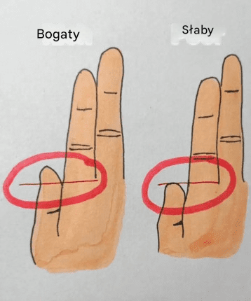 Twoje palce mogą ujawnić, czy jesteś bogaty, czy biedny