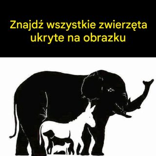 Tylko osoby z IQ powyżej 120 widzą więcej niż 6 zwierząt. Ile widzisz ty?