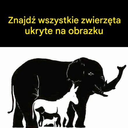 Tylko osoby z IQ powyżej 120 widzą więcej niż 6 zwierząt. Ile widzisz ty?