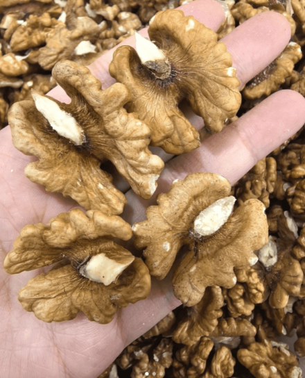 Lekarze ujawniają, że jedzenie orzechów ma… niesamowity wpływ na serce, mózg i długoterminowe zdrowie!