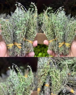 Najpotężniejsze zioło 😱😱..Zoback więcej…