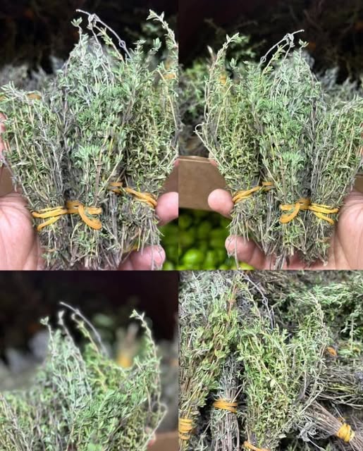 Najpotężniejsze zioło 😱😱..Zoback więcej…