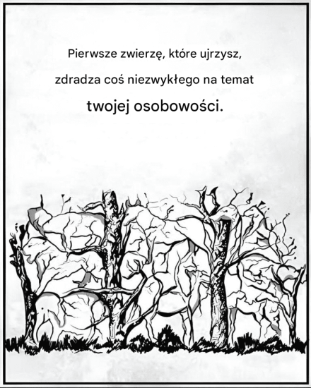 Pierwsze zwierzę, które zobaczysz, może ujawnić pewne informacje na temat twojej osobowości.