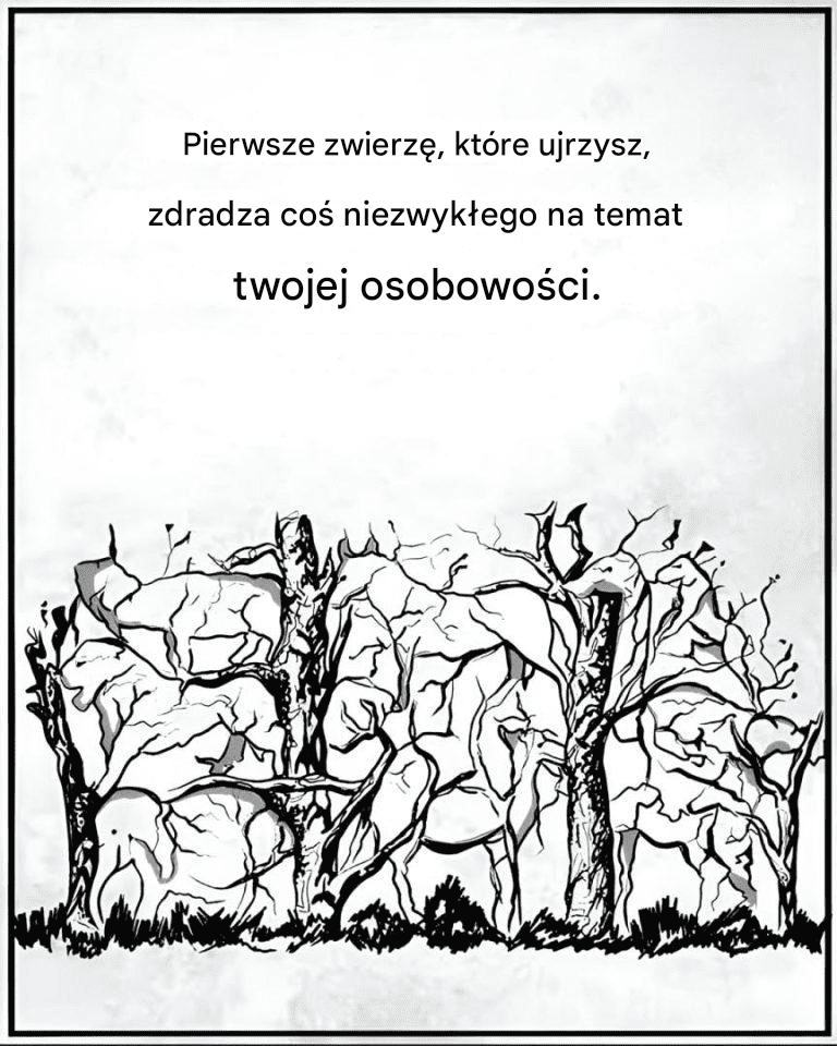 Pierwsze zwierzę, które zobaczysz, może ujawnić pewne informacje na temat twojej osobowości.