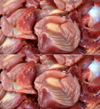 Czy wiesz, że jedzenie żołądków kurczaka nie… Dowiedz się więcej.