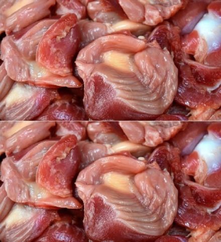 Czy wiesz, że jedzenie żołądków kurczaka nie… Dowiedz się więcej.