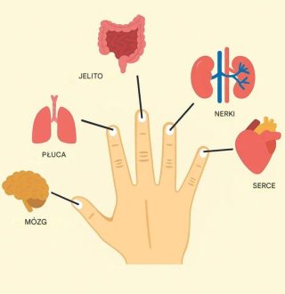 Każdy palec jest połączony z dwoma organami: niesamowita japońska metoda terapeutyczna