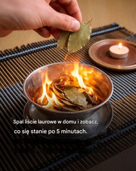 Odkryj fascynujący efekt, jaki może dać zwykły liść laurowy pod Twoimi stopami.